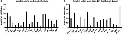 The Many Faces of G Protein-Coupled Receptor 143, an Atypical Intracellular Receptor